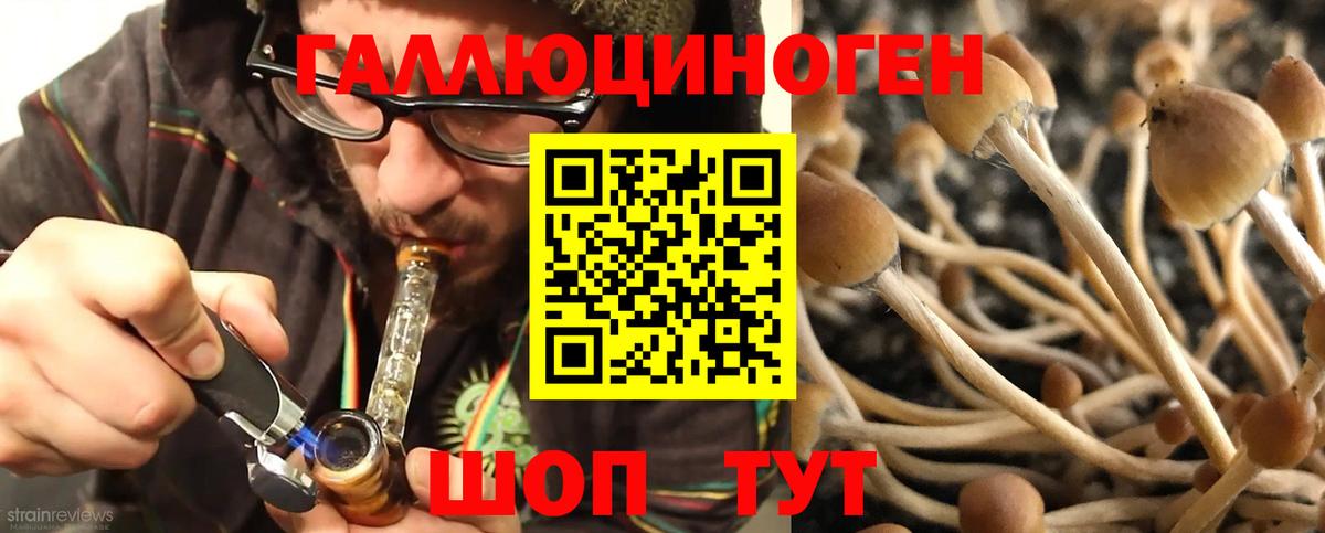 Псилоцибиновые грибы мицелий Коркино